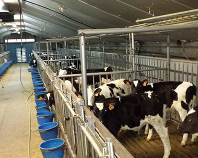 Référence-4-tertiaire-syrius-solar